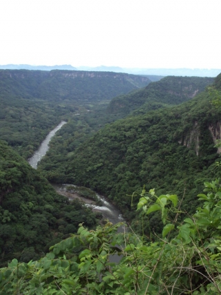  Rio Pescados 